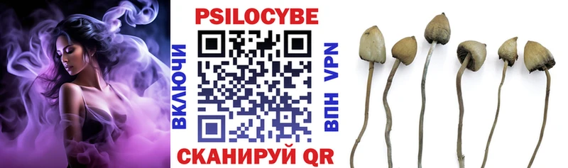 где купить наркоту Арамиль Галлюциногенные грибы ЛСД